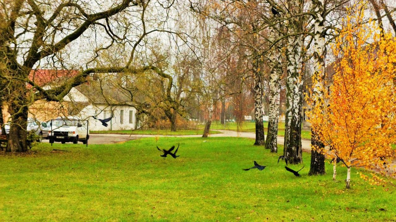 Hanacky Dvur Olomouc Buitenkant foto